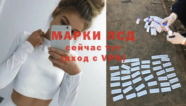 apvp Алзамай