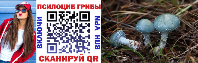 Галлюциногенные грибы Magic Shrooms Орехово-Зуево